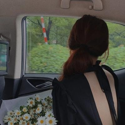 好莱坞医生封面