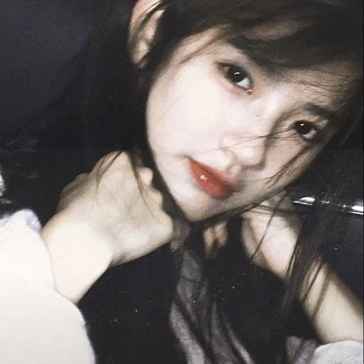 东北剿匪记封面