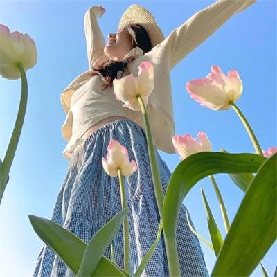 圣安娜奇迹封面
